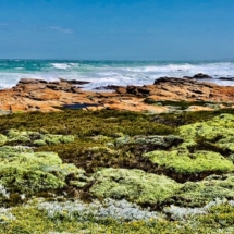 COTTAGEBEACHF19